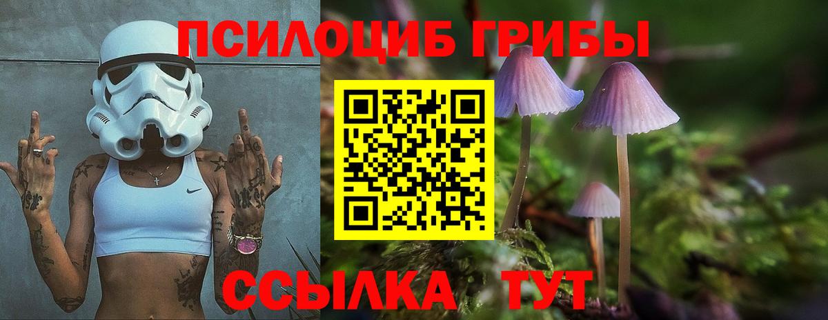 Псилоцибиновые грибы Magic Shrooms  Вход с VPN  Трёхгорный 