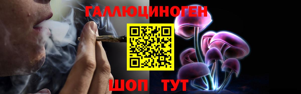 Псилоцибиновые грибы прущие грибы Трёхгорный